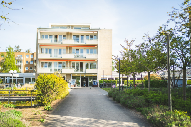 solmitzstr_DSC7852